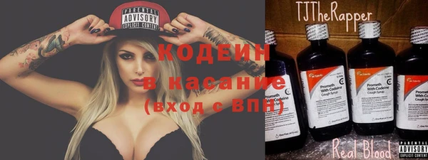 шишки Заводоуковск
