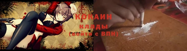 стаф Покачи