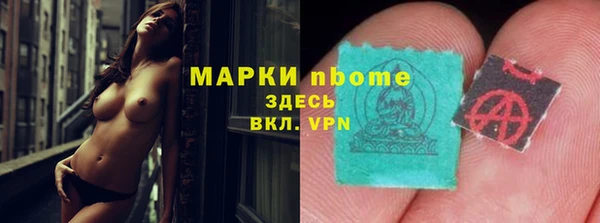 стаф Покачи