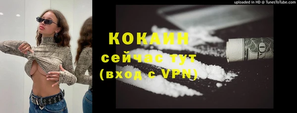 стаф Покачи
