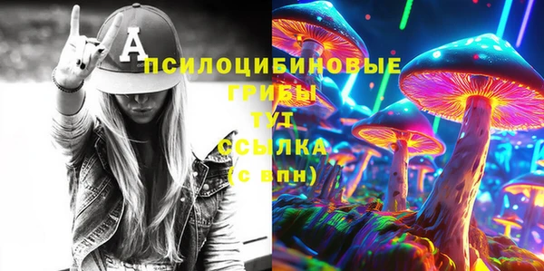 стаф Покачи