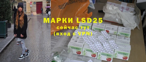 стаф Покачи