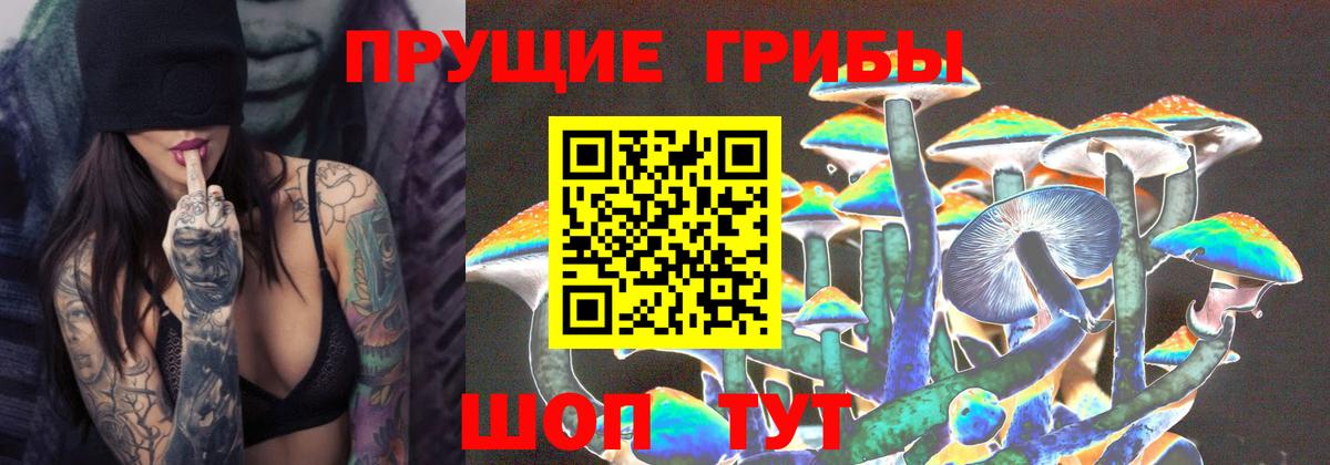 Псилоцибиновые грибы Cubensis  Галлюциногенные грибы прущие грибы  Вход с VPN  Солнечногорск 